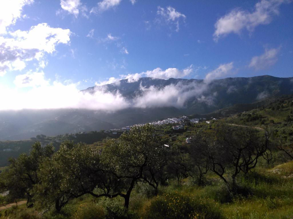 La Vista Panzió Cómpeta Kültér fotó